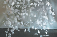 Odsjaj Leonore Vekić