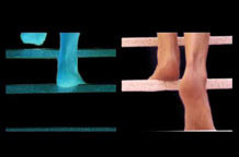 She-walk / Rebus sic stantibus