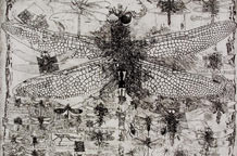 Beografika - Bakropis