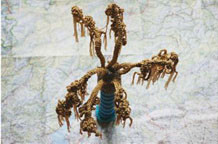 Oaza Čačak Petre Majc