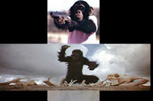 Mikro intervencije Slobodana Maldinija