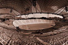 Mnoštva, Srđana Veljovića