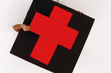 Vladimir Nikolić, Voice - over