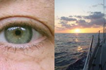 Elementi sreće Marije Vidić