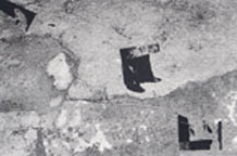 Grafike Lazara Markovića