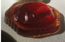 Dodirivanje stvarnosti Nataše Budimlije