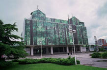 Surogati Branimira Karanovića