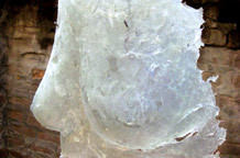 Arion Asllani: Boobs Boulevard