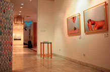 Telenorova kolekcija