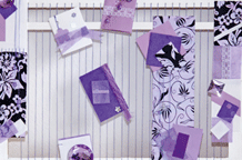 Special Occasions Teodore Jurić Miljuš