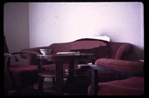 Nika Radić, Komunikacija iznad svega