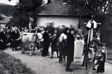 Rade Milisavljević Fotografije 1950 - 2009