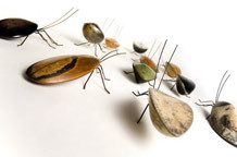 Insektarijum Borisa Bogdanovića