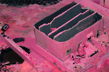 Rabbitland Ane Nedeljković