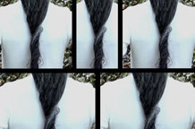 Drugo od istoga Vere Stevanović