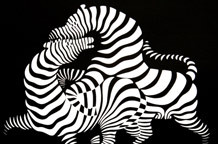 Grafike i objekti Viktora Vazarelija