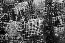 Olivera Inđić: Fotografije