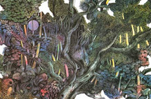 Za spas kišnih šuma Amazonije