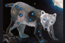 Mitologija Sazvežđa