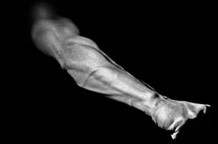 Spartanci Vladimira Tatarevića