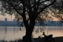 Treći  Beograd