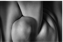 Fenix Fine Art Photography 3