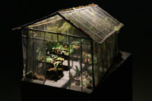 Lea Vidaković: Splendid Isolation