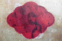 Slike Gordane Baškot