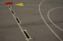 Elan Vital, Predraga Terzića