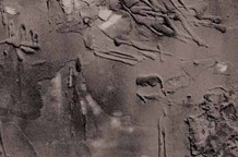 Enformel u Vojvodini