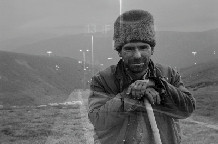 Zsofia Gombo, Budimpešta, Multiple Positives