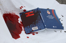 Performans: Ustav, Živko Grozdanić