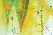 Color Therapy / transparent, Maje Erdeljanin