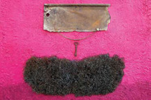 Biljana Maksimović: Slika / objekat