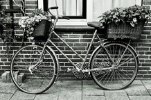 Olivera Inđić: ... la bicyclette...