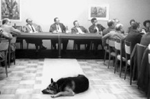 Jugoslavija i svijet 1968.
