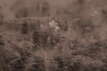 Enformel u Vojvodini