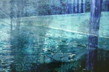 Another window in the pool
