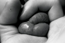 Tensionfield - Savremena fotografija