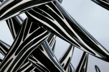 Jelena Miletić: Crno - bela igra