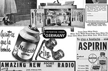 Šejma Prodanović: Digest