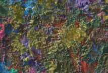 Dušan B. Marković: O kamuflaži