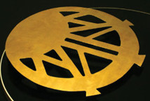 Jelena Babić: Sjaj svica