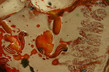 Maja Erdeljanin: Inner Color Therapy