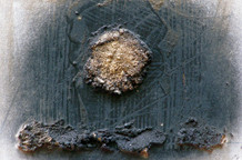 Dušan Đokić: Moć središta