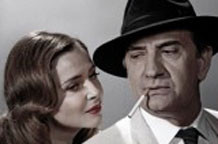 Fotografije Saše Šekoranje