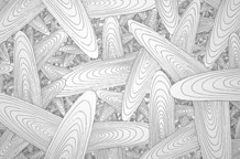 Jeton Muja - Investigation continues