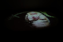 Aleksandra Dulić i Kenneth Newby: Red, Strast, Nastanak