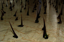 Radomir Stančić: Rizik i avantura