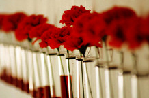 Milica Rakić: Rođena bez razloga